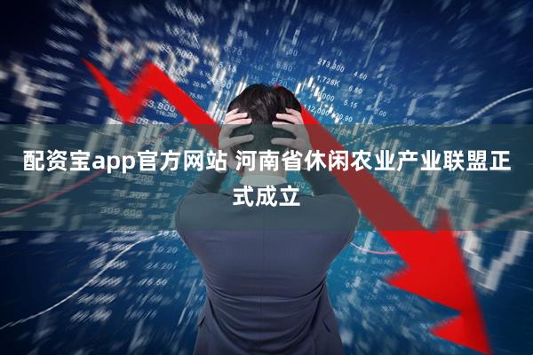 配资宝app官方网站 河南省休闲农业产业联盟正式成立